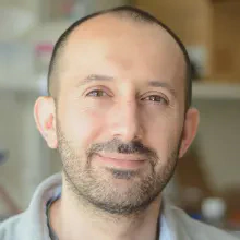 Prof. Alessandro Angelini